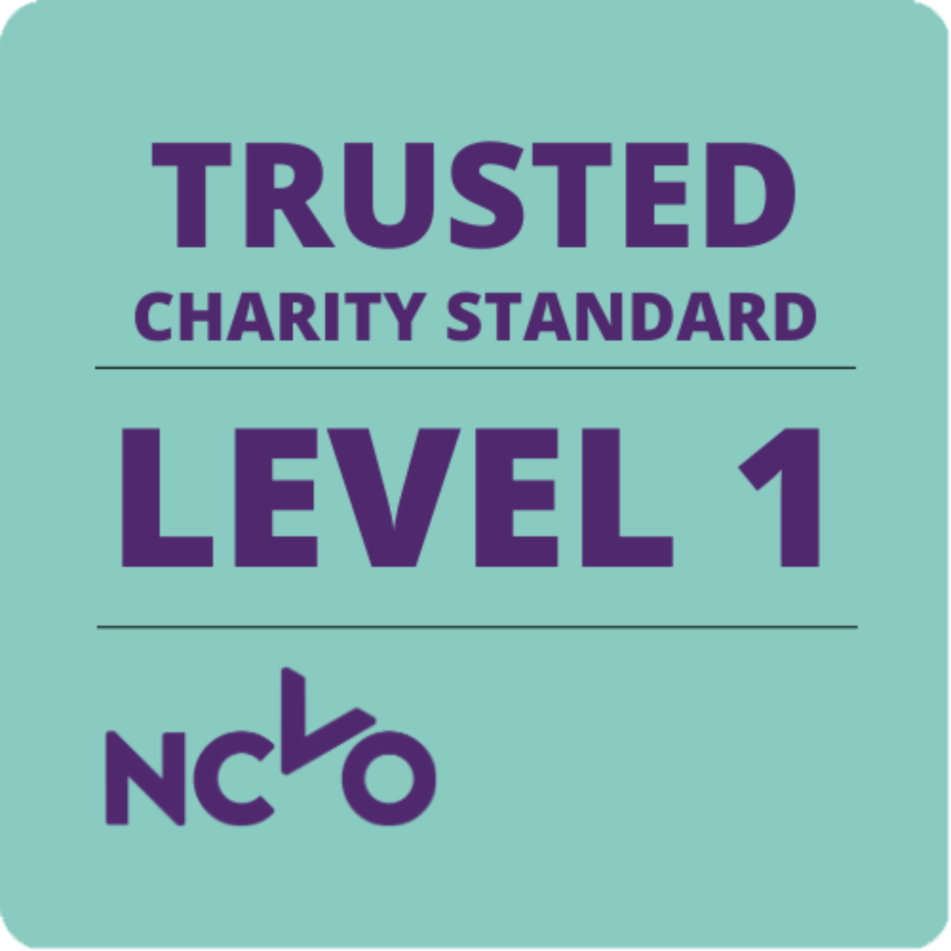 Trusted Charity Standard Level 1