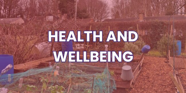 Health and wellbeing