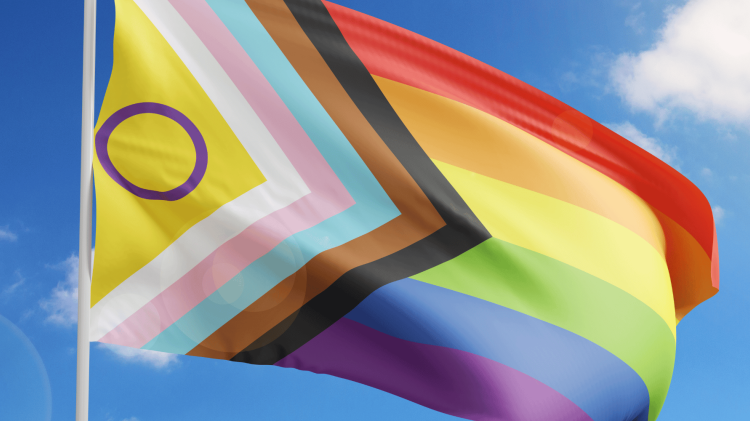 Pride Flag Sept 2026 Website Banner